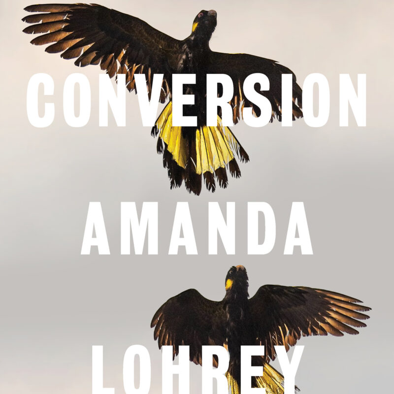 The Conversion is a startling novel about the homes we live in- how we shape them, and how they shape us. Like Amanda Lohrey's bestselling The Labyrinth, it is distinguished by its deep intelligence, eye for human drama and effortless readability.