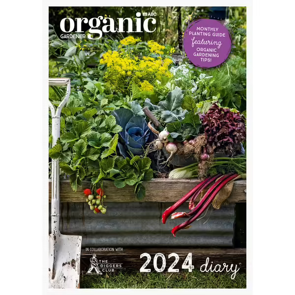 Filled with a rich mix of colourful photographs and practical advice, the 2024 ABC Organic Gardener Diary will inspire you to get out and get growing! Created in collaboration with The Diggers Club and featuring monthly planting guides and lots of tips to have your patch thriving - all from the magazine's expert horticultural writers. You'll also find recipes, beautiful images of organic plants, produce & poultry & more. The 2024 ABC Organic Gardener Diary will inspire and empower your organic gardening journey - and it makes the perfect gift!